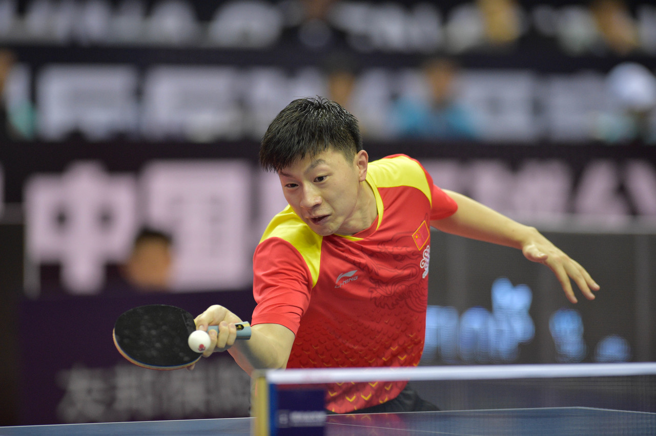 后有着精细 后有着精细