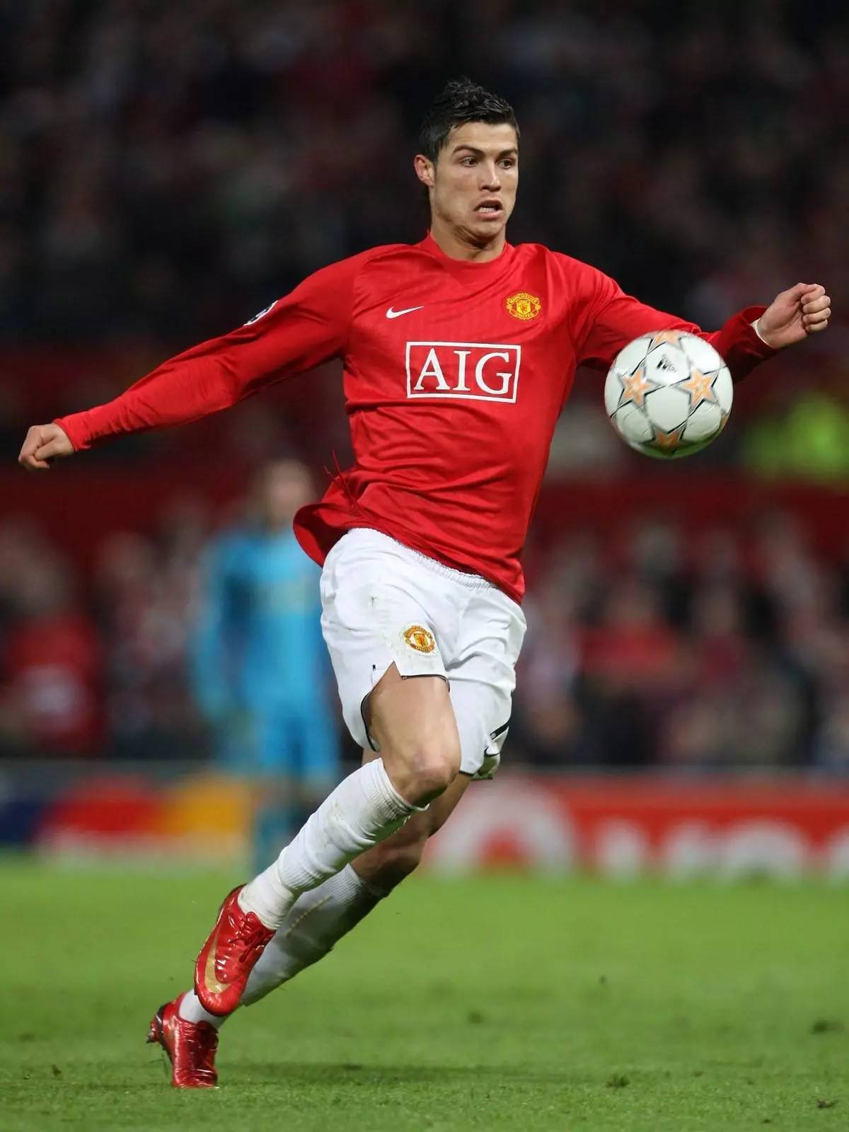 二次组织 二次组织